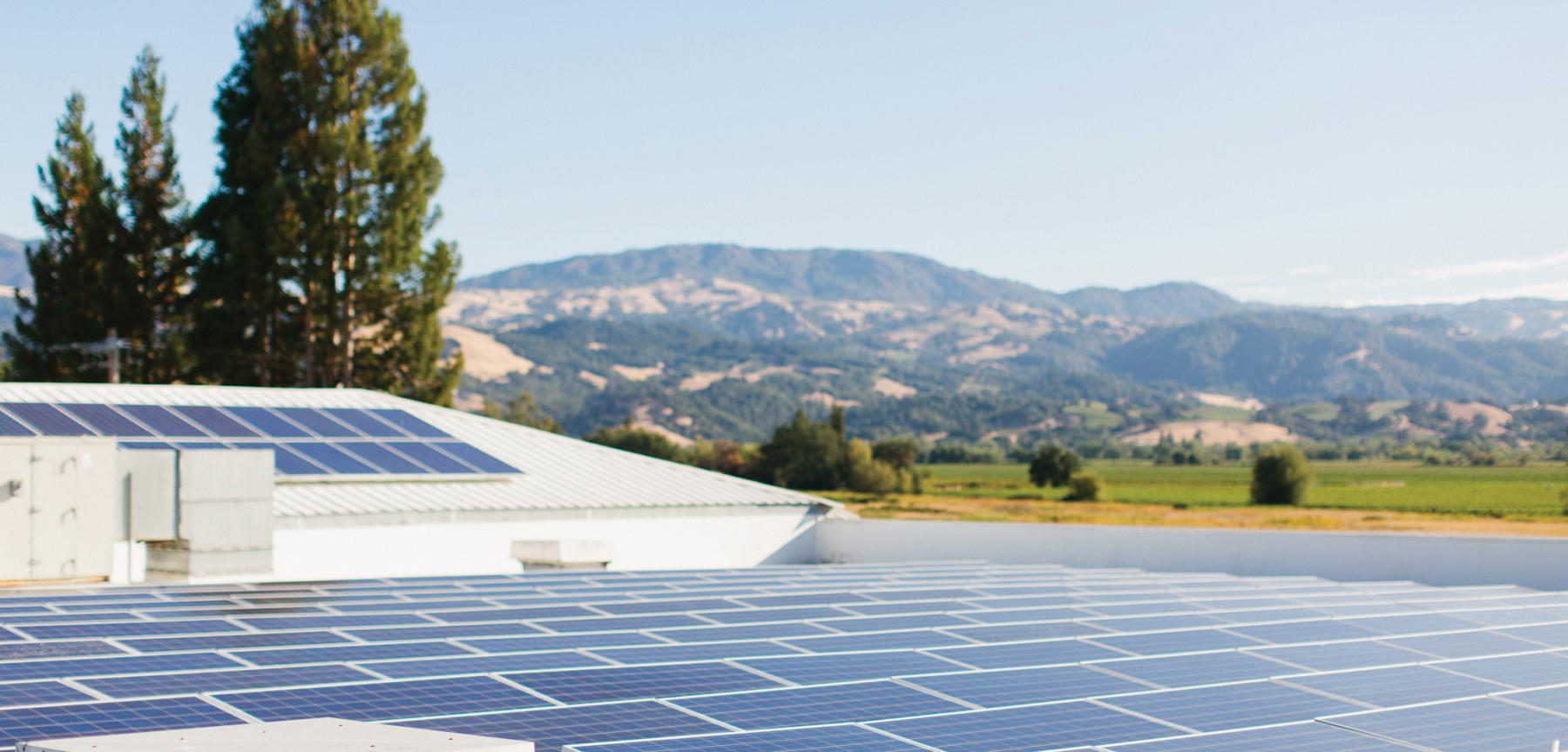 Solar panels on a Jackson Family Wines winery