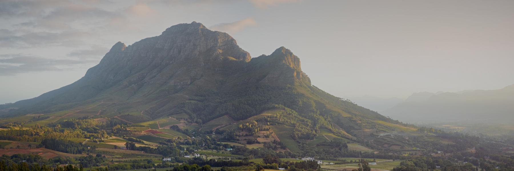 Simonsberg Mountain from Capensis' Fijnbosch vineyards