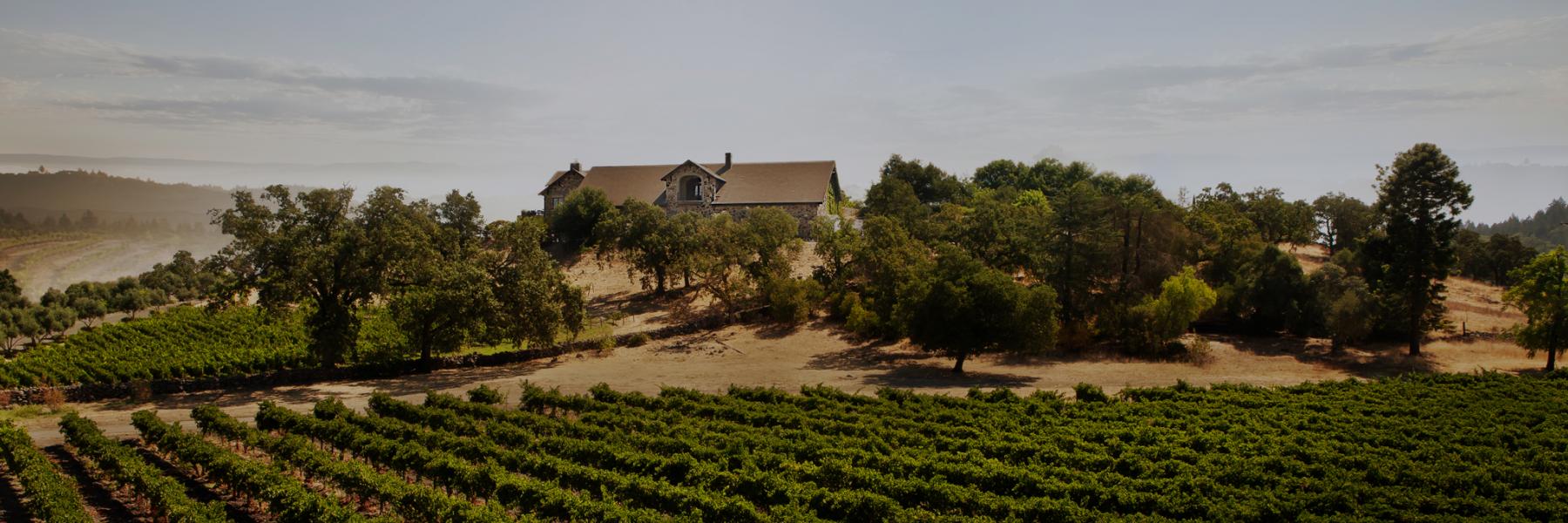 Cardinale estate, Napa Valley, California