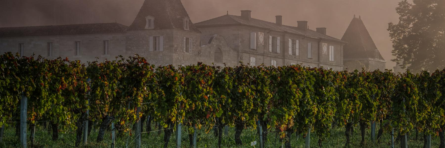 Château Lassègue estate in Saint Émilion