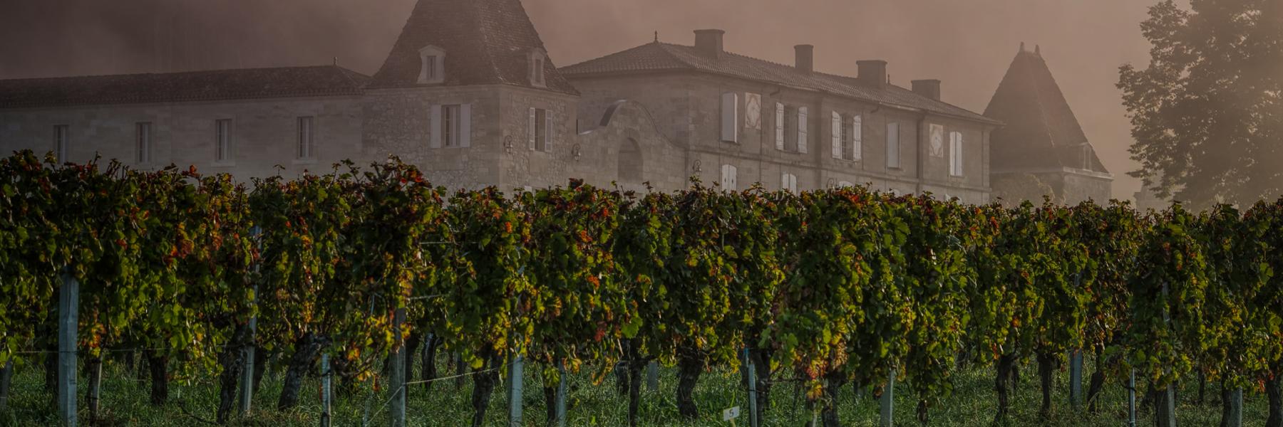 Château Lassègue estate in Saint Émilion 