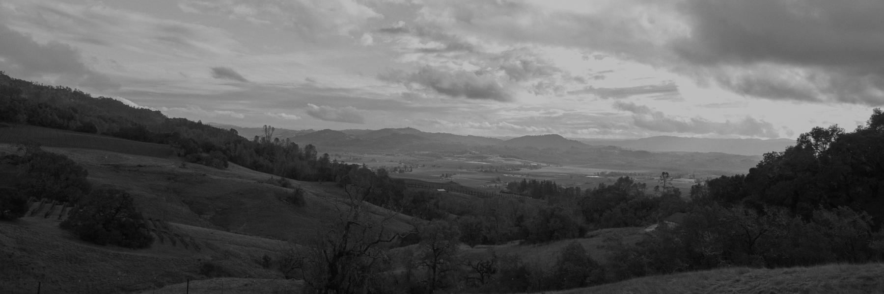 Legacy estate vineyards in the Alexander Valley, Sonoma County, California
