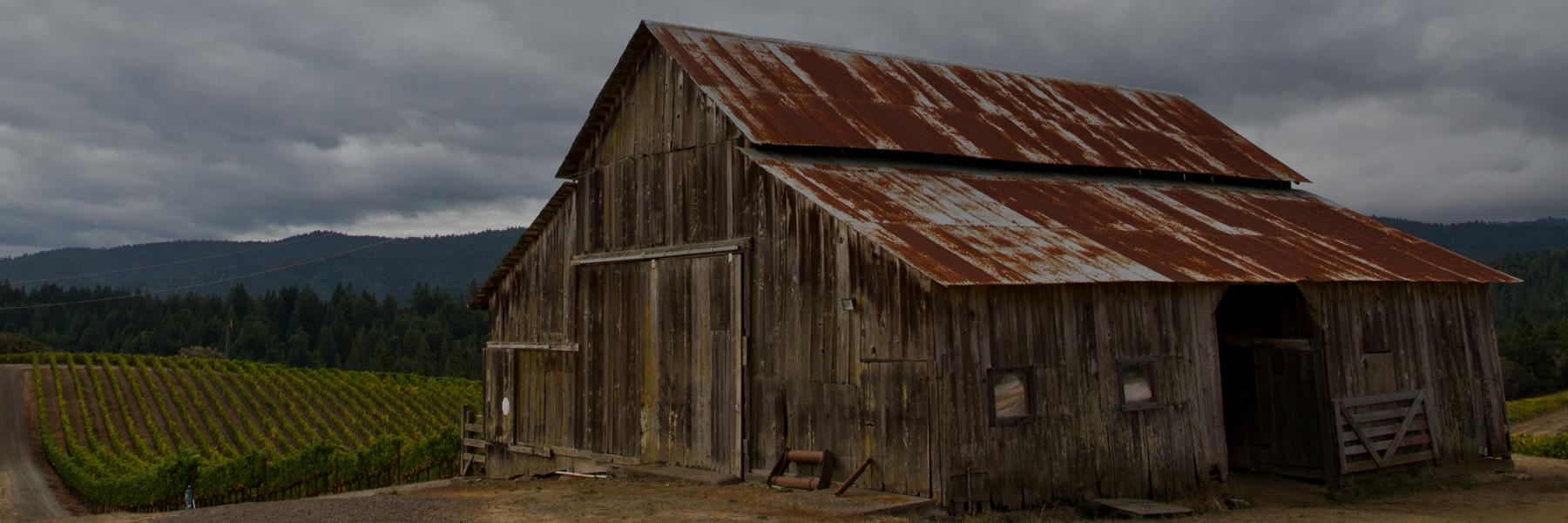 Maggy Hawk estate vineyard and barn, Anderson Valley, Mendocino County, California