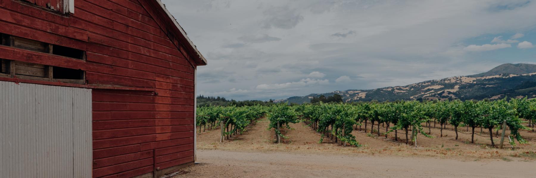 Murphy-Goode Alexander Valley vineyards