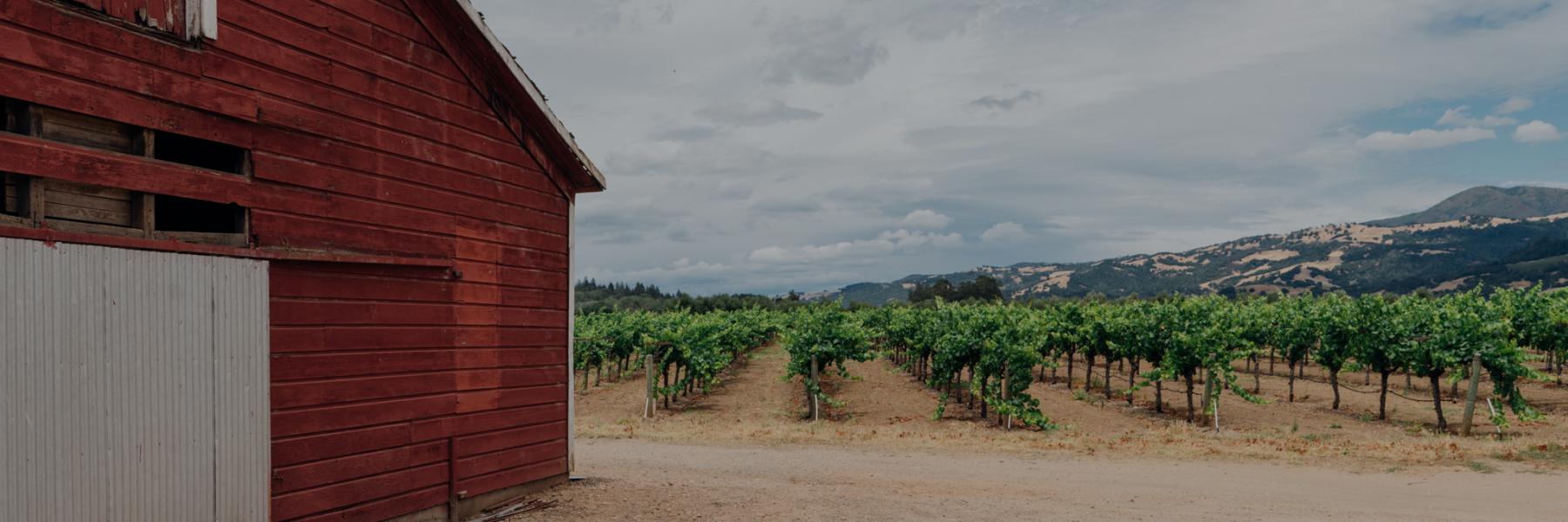 Murphy-Goode Alexander Valley vineyards 