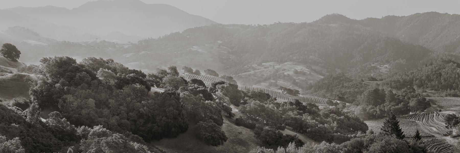 Hilltop and ridgeline vineyards at Stonestreet Mountain Estate, Alexander Valley, Sonoma County, California 