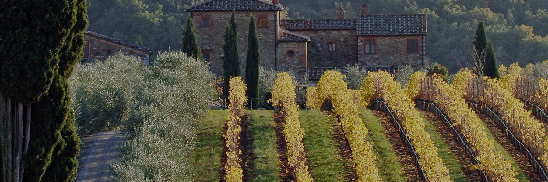 Tenuta di Arceno vineyards and estate, Tuscany, Italy