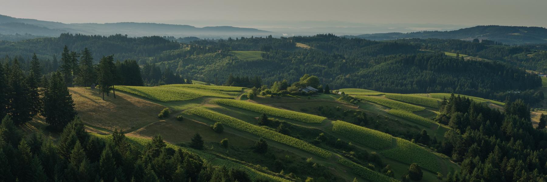 WillaKenzie Estate, Willamette Valley, Oregon