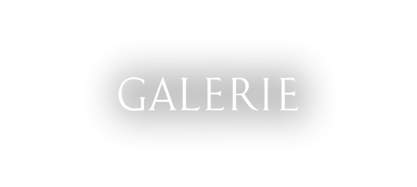 Galerie logo