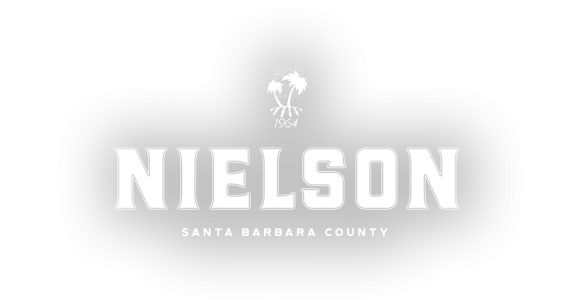 Nielson Logo