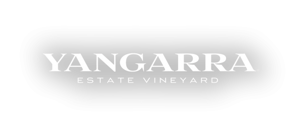 Yangarra logo