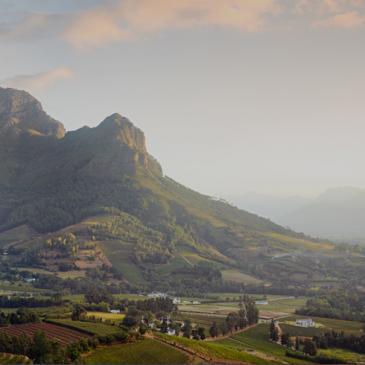 Simonsberg Mountain from Capensis' Fijnbosch vineyards