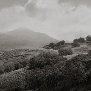 Captûre vineyards and mountain