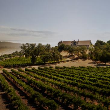 Cardinale estate, Napa Valley, California