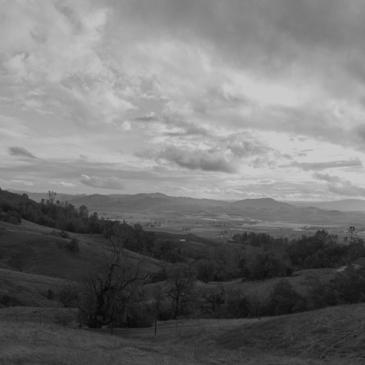 Legacy estate vineyards in the Alexander Valley, Sonoma County, California