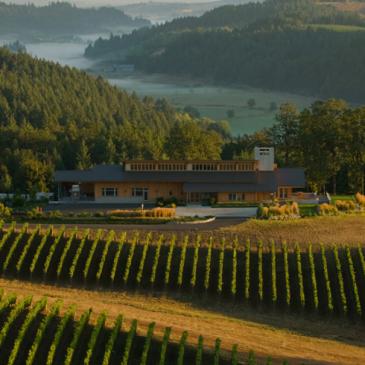 Penner-Ash winery and tasting room, Willamette Valley, Oregon