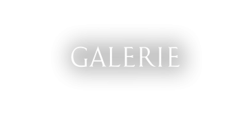 Galerie logo