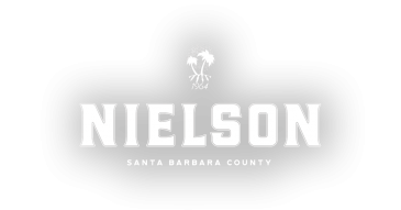 Nielson Logo